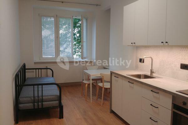 1 bedroom with open-plan kitchen flat to rent, 39 m², Petra Rezka, Hlavní město Praha