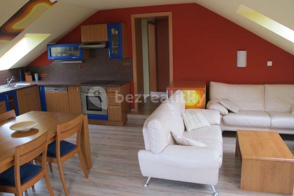 1 bedroom with open-plan kitchen flat to rent, 75 m², Spojovací, Hlubočinka