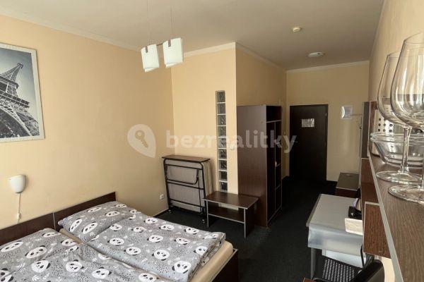 Studio flat to rent, 23 m², Poznaňská, Sázava