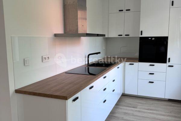 1 bedroom with open-plan kitchen flat to rent, 58 m², Opavská, Ostrava