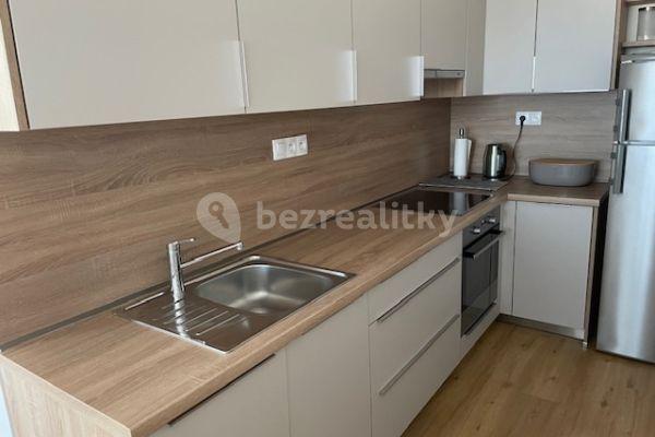 1 bedroom with open-plan kitchen flat to rent, 59 m², Dubeckého, Prague, Prague