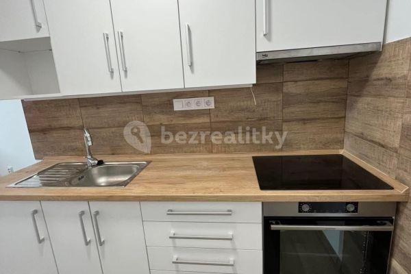 1 bedroom with open-plan kitchen flat to rent, 40 m², Veslařská, Mělník