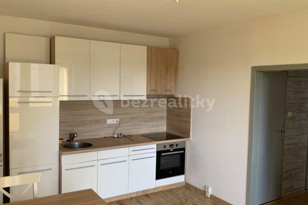 1 bedroom with open-plan kitchen flat to rent, 42 m², J. Bendy, České Budějovice