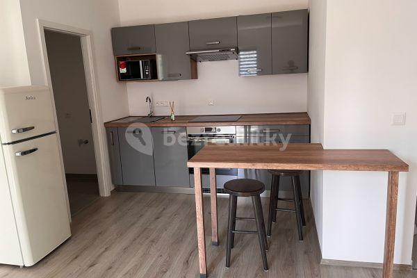 1 bedroom with open-plan kitchen flat to rent, 38 m², Prokopa Holého, Slaný