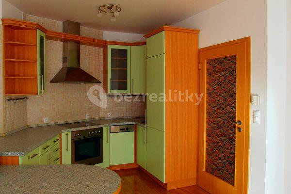 1 bedroom with open-plan kitchen flat to rent, 65 m², Praha