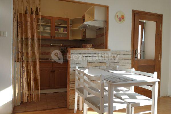 1 bedroom with open-plan kitchen flat to rent, 49 m², Biskupcova, Hlavní město Praha