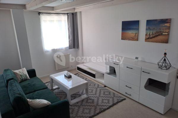 1 bedroom with open-plan kitchen flat to rent, 50 m², Za rybníkem, Lišany