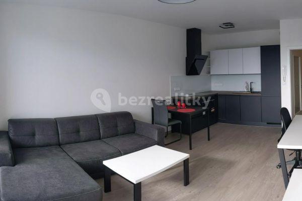 1 bedroom with open-plan kitchen flat to rent, 50 m², Plotní, Brno