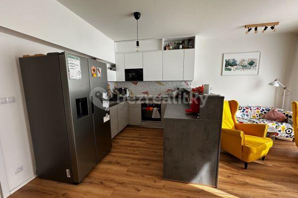 2 bedroom with open-plan kitchen flat to rent, 88 m², Sportovní, Brno