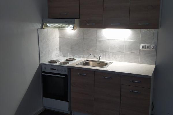 1 bedroom with open-plan kitchen flat to rent, 46 m², Švermova, Brno