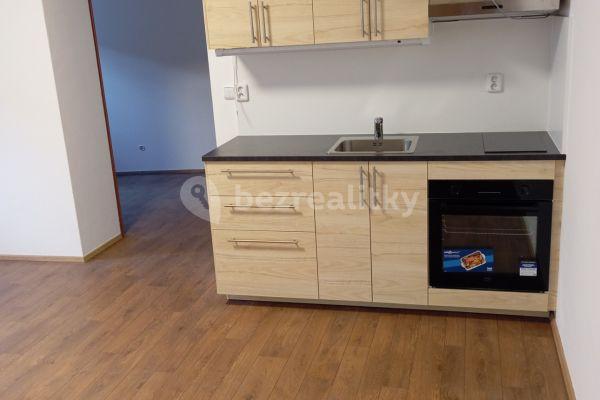 1 bedroom with open-plan kitchen flat to rent, 33 m², třída Kpt. Jaroše, Brno