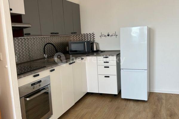 1 bedroom with open-plan kitchen flat to rent, 44 m², Spodní, Brno