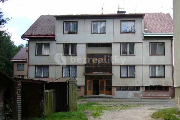 1 bedroom flat to rent, 40 m², Jiřího z Poděbrad, Borohrádek