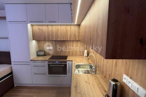 Studio flat to rent, 33 m², čtvrť Padělky, Zbýšov