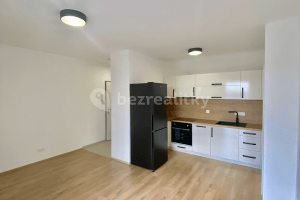 1 bedroom with open-plan kitchen flat to rent, 40 m², Prokopa Holého, Slaný