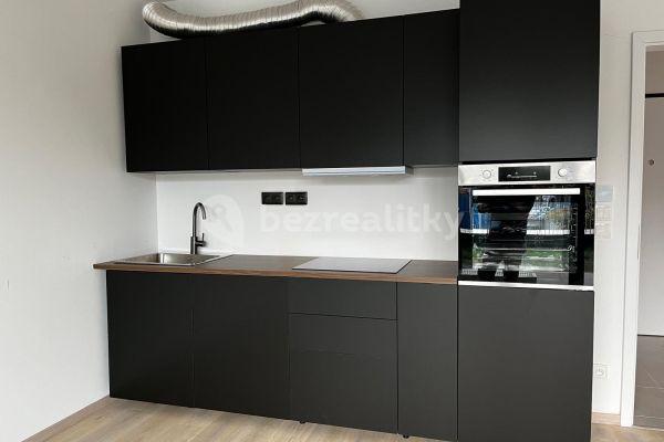 Studio flat to rent, 35 m², Olgy Havlové, Prague