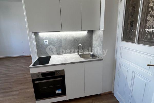 1 bedroom with open-plan kitchen flat to rent, 48 m², U Zvonařky, Prague, Prague