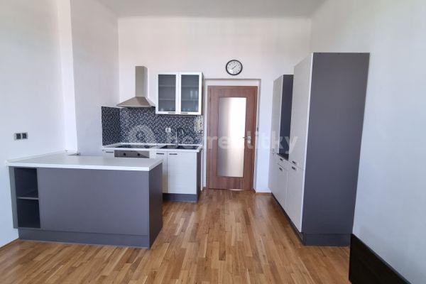 1 bedroom with open-plan kitchen flat to rent, 45 m², Baarova, Praha