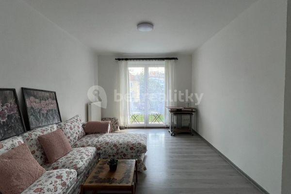 1 bedroom with open-plan kitchen flat to rent, 50 m², Sídliště 9. května, Sázava