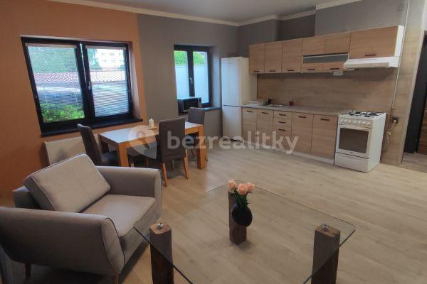 1 bedroom with open-plan kitchen flat to rent, 63 m², Masarykova, Plzeň