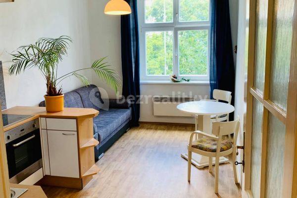 1 bedroom with open-plan kitchen flat to rent, 46 m², Ruská, Hlavní město Praha