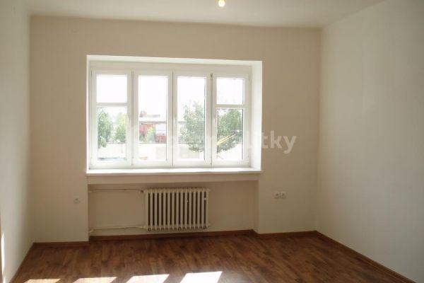 1 bedroom with open-plan kitchen flat to rent, 55 m², Jana Želivského, Praha