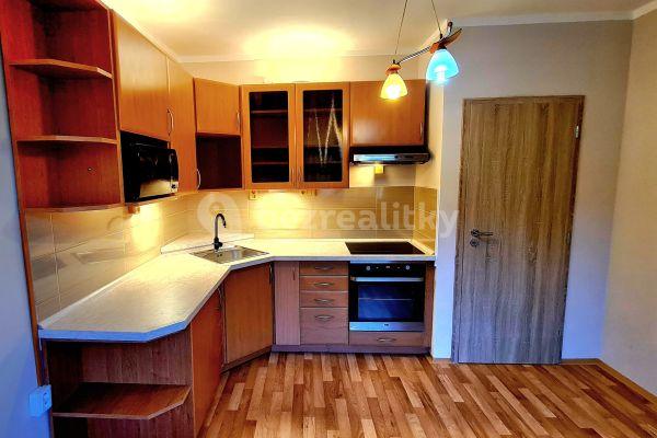 1 bedroom with open-plan kitchen flat to rent, 39 m², Tolstého, Ústí nad Labem