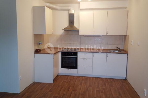 1 bedroom with open-plan kitchen flat to rent, 45 m², V Honech, Klecany