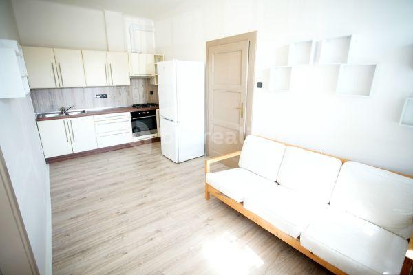 1 bedroom with open-plan kitchen flat to rent, 42 m², U Vysočanského pivovaru, Hlavní město Praha