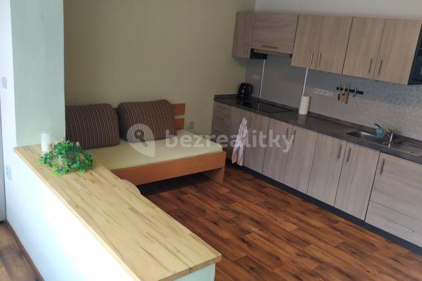 Studio flat to rent, 32 m², Netušilova, Prostějov