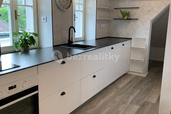 1 bedroom with open-plan kitchen flat to rent, 43 m², Josefův Důl