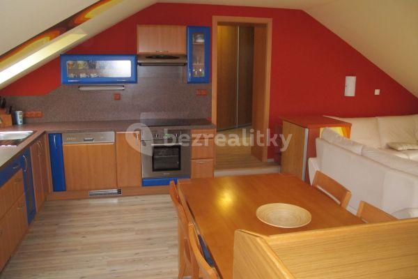 1 bedroom with open-plan kitchen flat to rent, 75 m², Spojovací, Hlubočinka