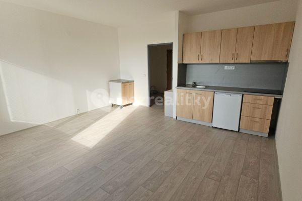 Studio flat to rent, 33 m², Kubíkova, Brno