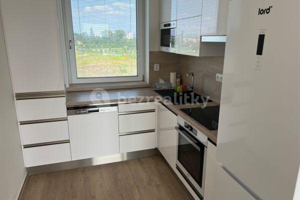 1 bedroom with open-plan kitchen flat to rent, 60 m², Sokolova, Brno