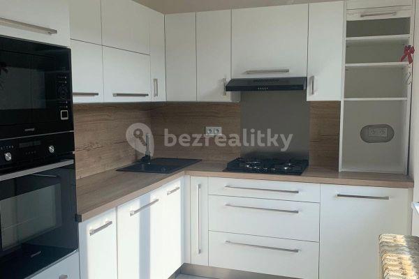 1 bedroom with open-plan kitchen flat to rent, 50 m², Družstevní, Pardubice