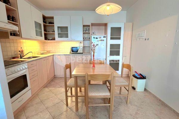 1 bedroom with open-plan kitchen flat to rent, 48 m², Oblá, Brno