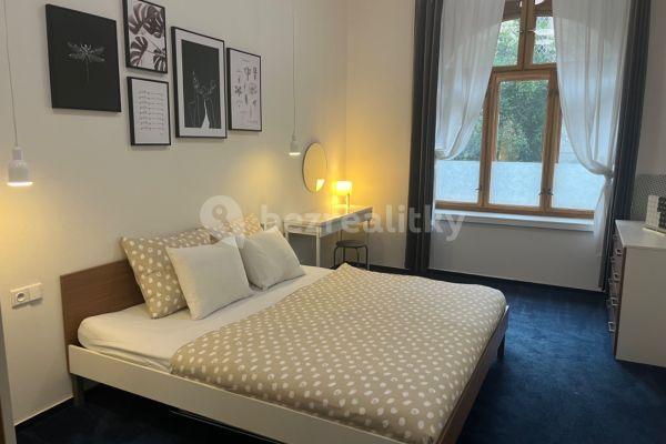 1 bedroom with open-plan kitchen flat to rent, 52 m², U Milosrdných, Praha