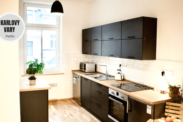 1 bedroom with open-plan kitchen flat to rent, 45 m², Petřín, Karlovy Vary