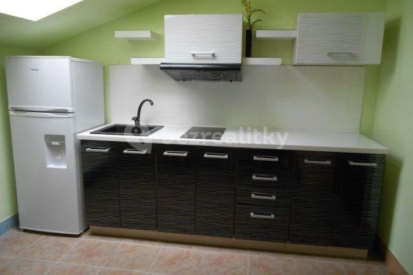 1 bedroom with open-plan kitchen flat to rent, 42 m², Obřanská, Brno