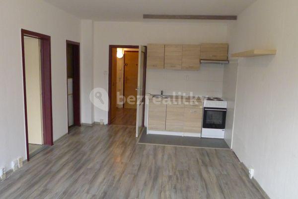 1 bedroom with open-plan kitchen flat to rent, 45 m², Pod Lysinami, Praha