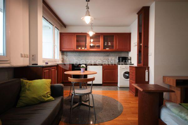 1 bedroom flat to rent, 30 m², Kotorská, Praha