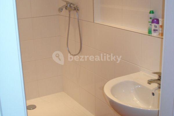 Small studio flat to rent, 21 m², Leopolda Peka, Říčany