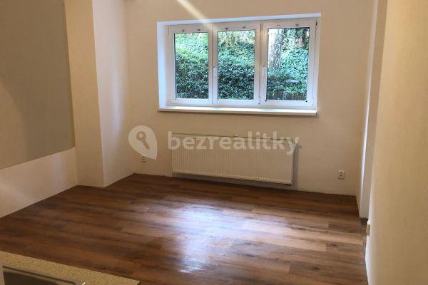 1 bedroom with open-plan kitchen flat to rent, 40 m², České družiny, Praha