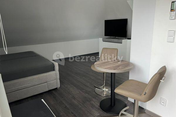 Studio flat to rent, 45 m², U Svodnice, Praha