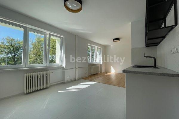 2 bedroom with open-plan kitchen flat to rent, 65 m², Strašice