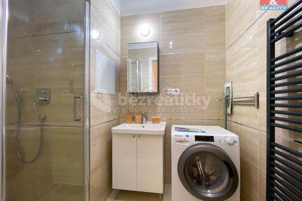 1 bedroom with open-plan kitchen flat to rent, 48 m², Rybalkova, Praha