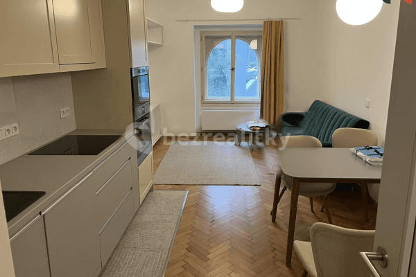 1 bedroom with open-plan kitchen flat to rent, 42 m², Pobřežní, Praha