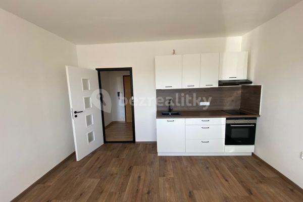 1 bedroom with open-plan kitchen flat to rent, 42 m², Dvořákova, Děčín