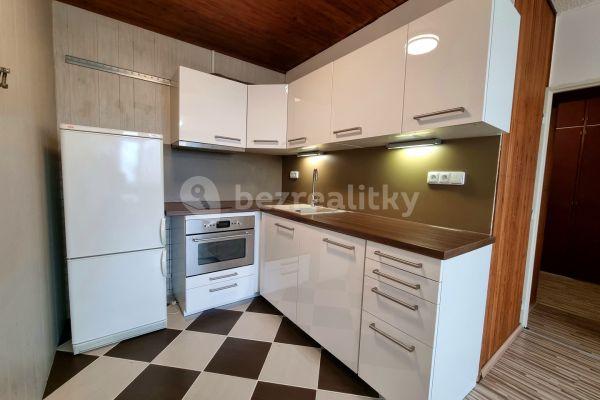 1 bedroom with open-plan kitchen flat to rent, 43 m², Na Strži, Praha