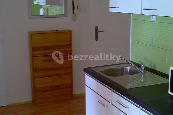 1 bedroom with open-plan kitchen flat to rent, 53 m², Dělnická, Hlavní město Praha